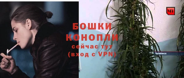 трава Губаха