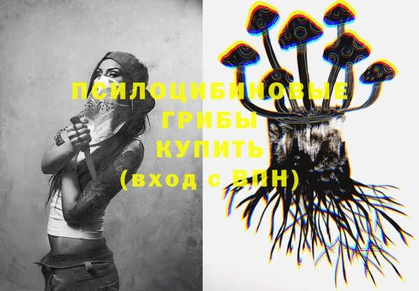 ПСИЛОЦИБИНОВЫЕ ГРИБЫ Грязовец