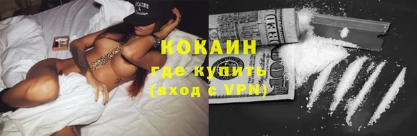 прущие грибы Лиски