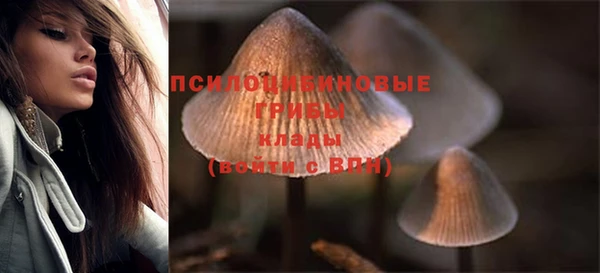 не бодяженный Красноперекопск